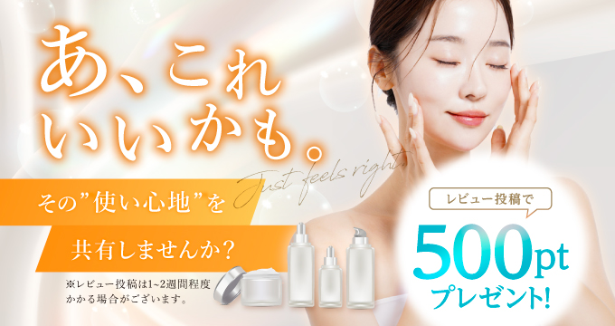 レビュー投稿で500ポイントプレゼント