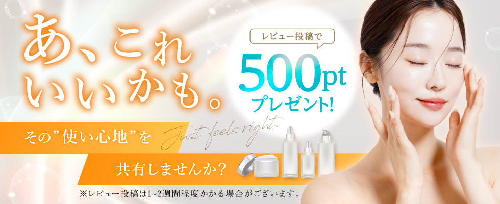 レビュー投稿で500ポイントプレゼント